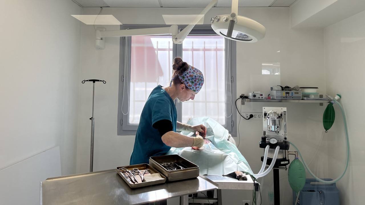 Chirurgie