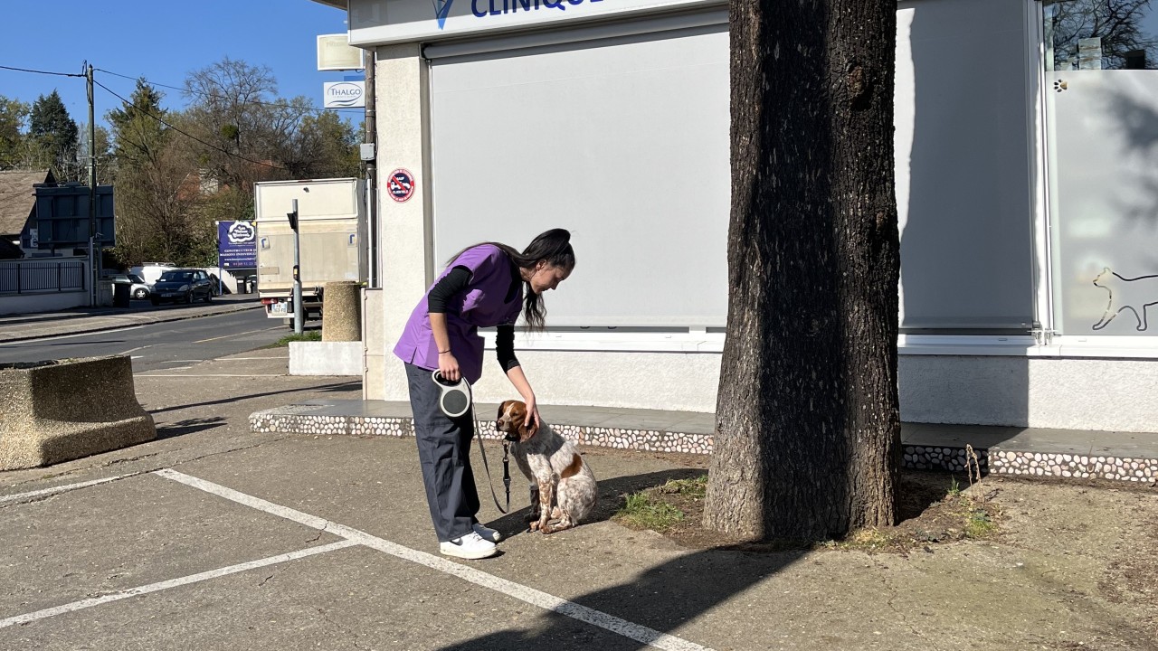 Petite sortie de nos hospitalisés
